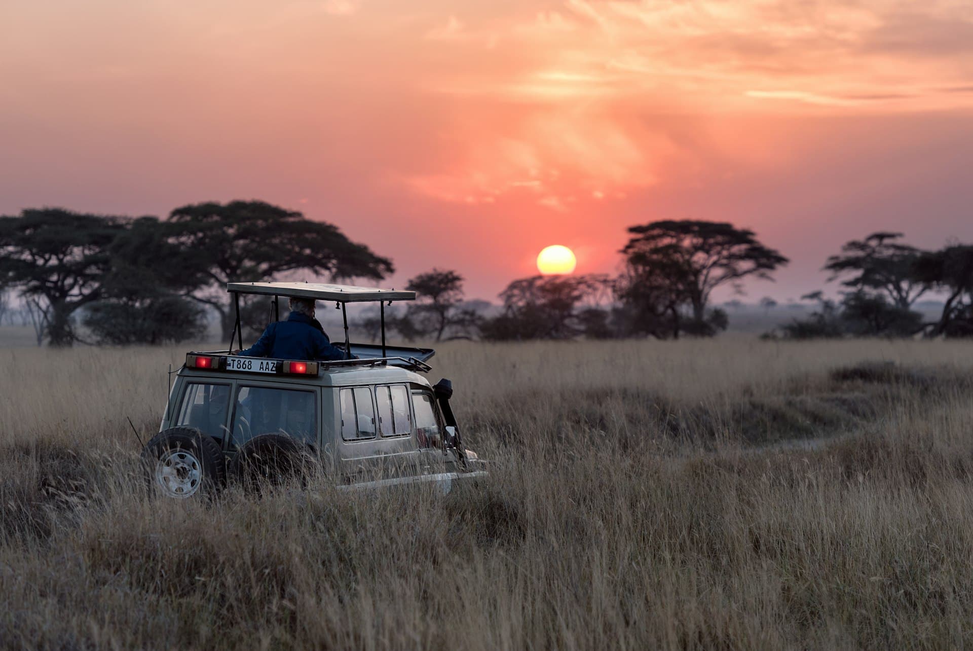 Wildebeest migration in Serengeti National Park - Experience Africa's greatest wildlife spectacle